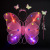Butterfly wing fairy double angel wings three sets of 61 show props wholesale