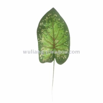 Single piece of 7 green lotus leaves