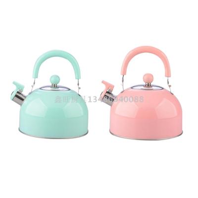 Thickened stainless steel flat-bottomed kettle-pot with singing globular kettle