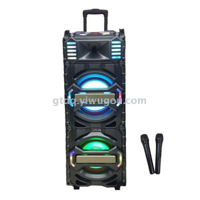 210C double 10-inch pull rod battery sound stage speaker with two microphone LED lights