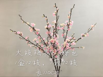 LAN jin (flower know flower industry) big branch plum blossom