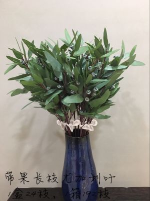 Orchid jin (flower known as flower industry) with long branches of fruit, especially galli leaves
