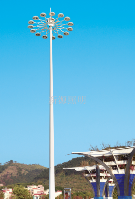 New LED Street Lamp 1401 Series Integrated High Pole Garden Lamp