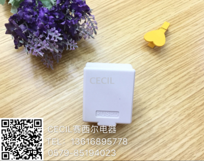 8413 plug new 13A good quality cheap quantity from the superior Cecil electrical