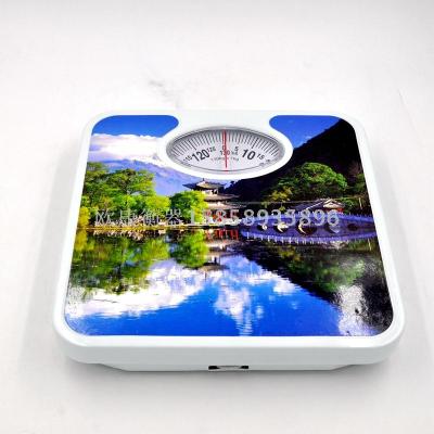Mechanical scales are used to display the correct body weight scale and precise weighing body weight meter pointer