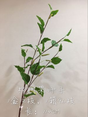 Orchid jin (flower know flower industry) birch fruit leaf branch