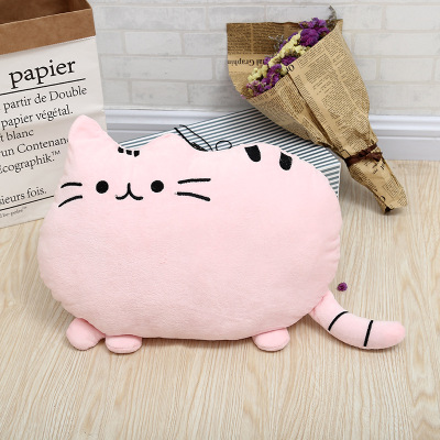 Creative new cartoon cat holding pillow express doll plush toys for the children 's birthday gifts pillow manufacturers wholesale