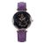 New fashionable hot - selling diamond glass face star frosted band female watch student watch 5