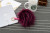 12cm15cm imitation raccoon fur line key chain scarf MAO ultra-large hair MAO pendant