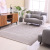 Nordic contemporary contracted sitting room carpet sofa tea table cushion study bedroom bed big carpet can be customized