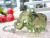 Acrylic elephant key chain pendant cartoon animal pendant wholesale elephant key ring special