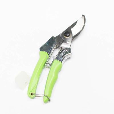 Garden scissors are pruning and pruning