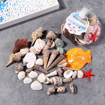 Manufacturers direct sales of natural shell conch sea star net bagged fish tank decoration gifts table display pieces wholesale