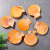 Factory Direct Sales Natural Ocean Color Shell Gold Scallop Fish Tank Decorations Mediterranean Style Ornaments Wholesale