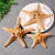 Natural Shell Full Head Starfish Ornament Decoration Crafts Accessories Aquarium Fish Tank Landscape Home Mediterranean