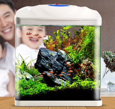The Mini fish tank aquarium living room home landscaping super white glass fish tank miniature eco - desktop goldfish bowl