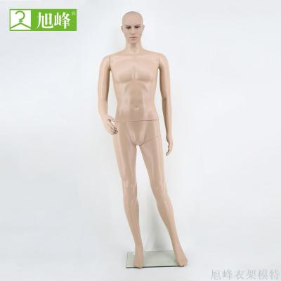 Manufacturer direct plastic whole body model makeup male model m-2