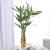 Home Wedding Living Room Decoration Electroplated Golden Flower Holder Rich Bamboo Flower Vase Creative Gift New Year Goods