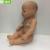 Xufeng factory direct selling plastic body doll model article no. Bd-1