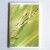 Creative Stationery Wright Ruyi 32k80 Hardcover Plastic Cover Notebook Thread Cartoon Notebook Creative Notebook