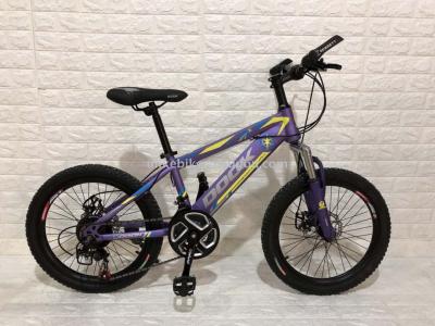Bicycles 20 \"21 - speed new high - carbon steel variable speed mountain bike manufacturers direct