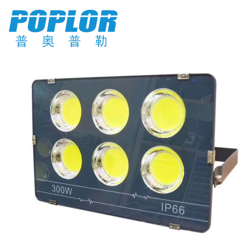 Led Moon Cob Floodlight W Floodlight Waterproof Outdoor Engineering Lights