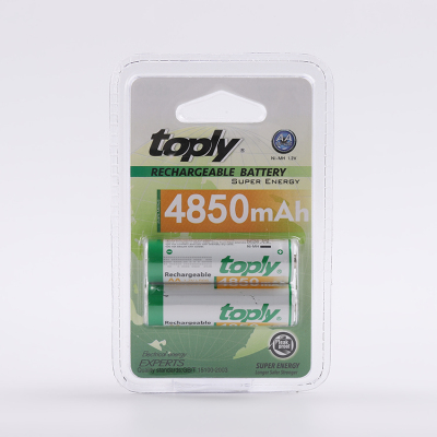 Toply5 rechargeable battery: 2 tablets and 1 card rechargeable battery for electric toys