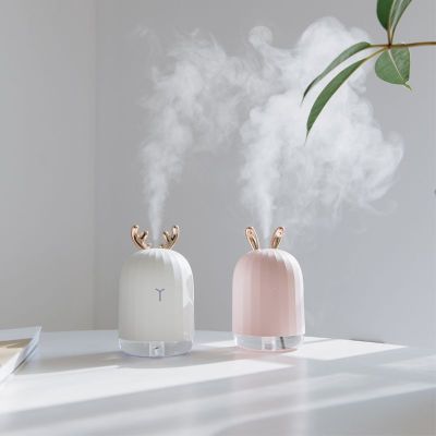 Cute Pet Humidifier USB Home Silent Bedroom Cartoon Gift Mini Small Air Atomizing Office