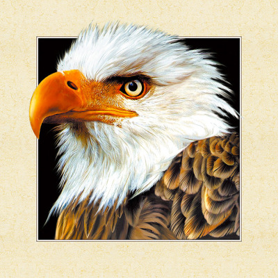 Factory Direct Sales HD 3D Painting Wholesale Customized Eagle Animal Decorative Painting Three-Dimensional Stereograph
