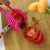 Lemon slicer tomato, tomato, round slicer kitchen fruit platter tool divider