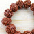 Natural Rudraksha Bracelet Stall Beads Bracelet Creative Gift Wholesale Small Gift Gift Gift Bracelet