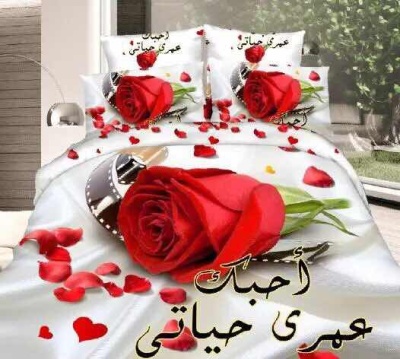Bedding set four-piece rose lip series printed in Arabic