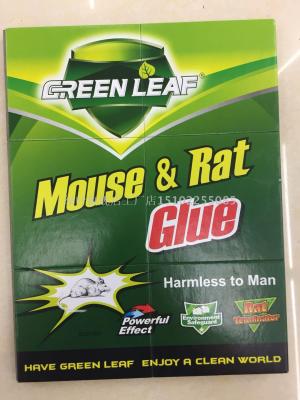 Mouse & Rat Glue Trap      Top Glue