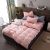 Four-Piece Bed Set Pure Cotton Bedding Hotel Raw Materials Tribute Satin Plain Washed Cotton Double Factory