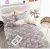 Bedding Cotton Four-Piece Set 100% Cotton Printing Suit Foreign Trade Wholesale Gift Home Textile Quilt Cover