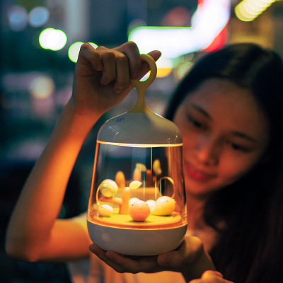 foreign trade exclusive diy micro landscape music plant small night lamp plant lamp led portable lamp portable kt-c