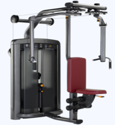 The Chest/back trainer