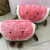 Yiwu manufacturer direct sale 2018 new cherry apple plush watermelon dolls holding pillow special dolls