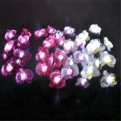 foreign trade dedicated to solar energy 8 branches a bunch of 5tou phalaenopsis outdoor festive lantern courtyard lawn lamp simulation festive lantern festive lantern