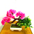 Artificial plant potted indoor simulation green plant potted small bonsai decoration decoration