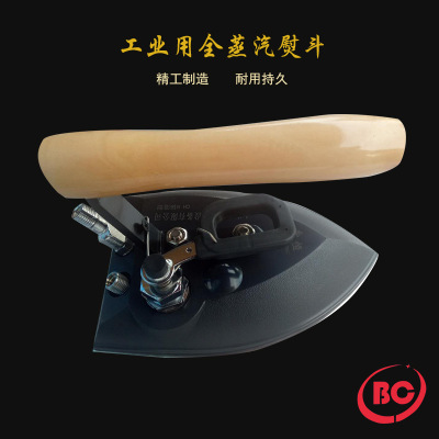 Full Steam Electric Heating Steam Portable Iron Yiwu Baocheng Industrial Steam Ironing Machine Clothing Ironing Equipment