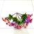 Five colorful helichrysum artificial flowers