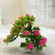 Mini simulated potted plant