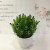 Mini simulated potted plant