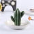 Spot ceramic plate electroplating cactus placed pieces ring plate receiving decorative jewelry rack