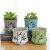 Pure and fresh green plant meaty pot simple ceramic meaty pot creative hand-painted mini elegant meaty pot