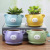 Cartoon cuteness pet ceramic pot creative lovely animal ceramic pot features animal modeling succulent plant pot