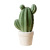 INS cactus small bonsai dessert shop window small fresh decoration props creative potted table furnishings