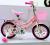 Female children's bicycle bicycle