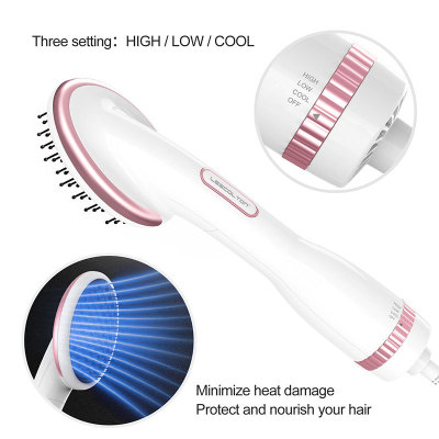 Manufacturer direct selling hot style multi-functional anion two-in-one electric blow comb wet and dry dual-use